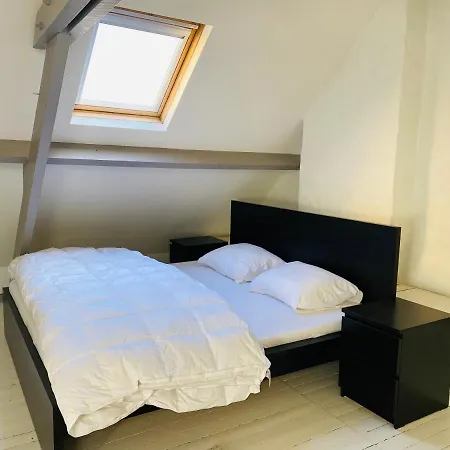 O-sea House: Herenwoning In Belle Epoque Wijk Te 别墅