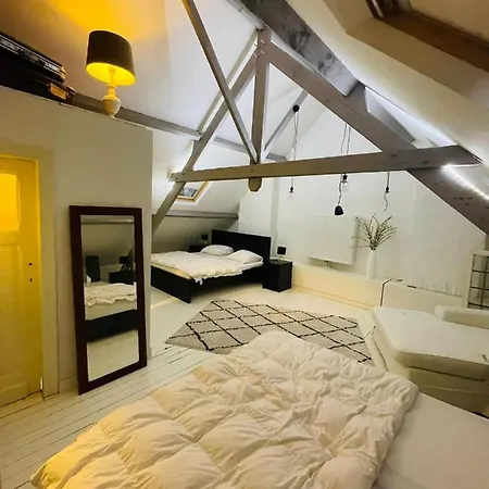 O-sea House: Herenwoning In Belle Epoque Wijk Te