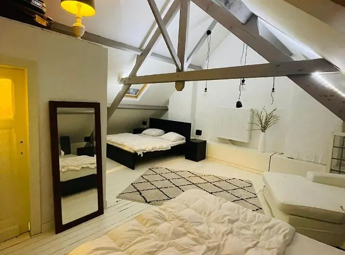 O-sea House: Herenwoning In Belle Epoque Wijk Te