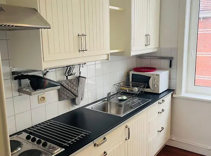 O-sea House: Herenwoning In Belle Epoque Wijk Te Vila *