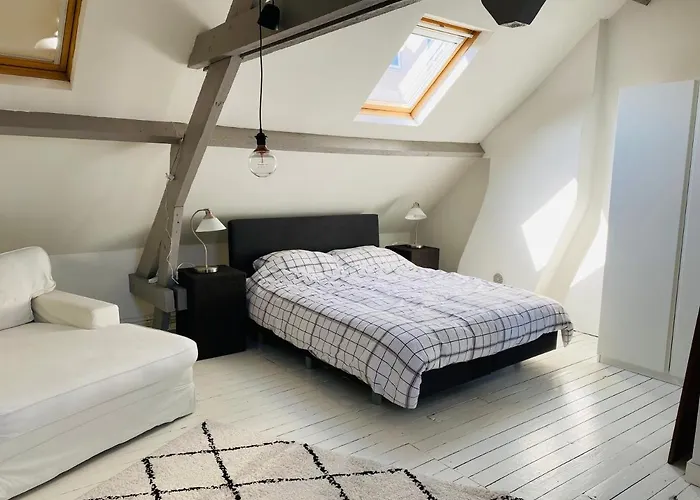 Vila O-sea House: Herenwoning In Belle Epoque Wijk Te Ostende